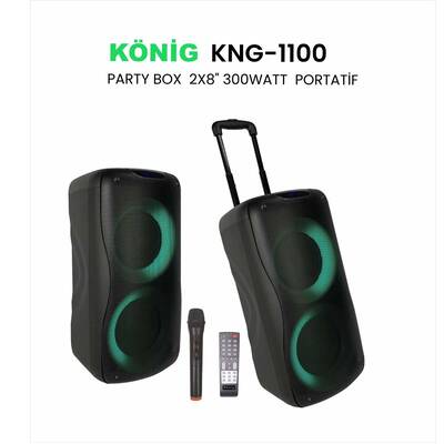 KNG-1100 2X 8'' 300W PARTİY BOX